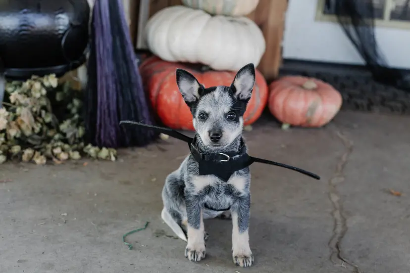 Featured event image